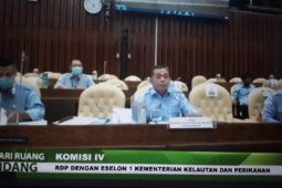 Menteri KP Edhy Prabowo diharapkan segera sehat kembali