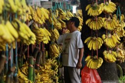 Pisang salah satu obat alami mengatasi diare