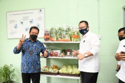 Wamenhan minta IPB kembangkan pertanian singkong dan sagu
