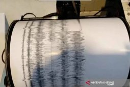 Gempa bumi tektonik 3,9 M guncang Karangasem-Bali