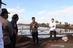 Mentan memerintahkan mekanisasi lahan food estate sebelum tanam perdana