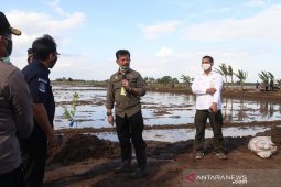 Antisipasi gagal panen, petani diminta manfaatkan asuransi pertanian