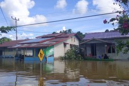 BPBD : 100 rumah warga di Kapuas Hulu terendam banjir
