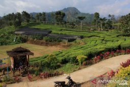 Potensi wisata Desa Tangguh COVID-19 di Andungbiru Probolinggo