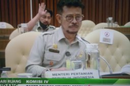 Reealisasi anggaran Kementan capai 60,43 persen hingga 11 September