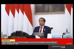 Presiden minta Terawan audit dan koreksi protokol kesehatan di RS