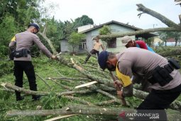 Brimob Polda Sumut bantu korban puting beliung di Deli Serdang