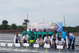 Pemkab Bangka Tengah salurkan 1.700 bibit bawang merah