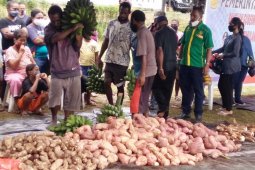Pengamat nilai UU Cipta Kerja bisa perkuat produksi pangan domestik