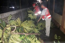 Angin kencang merusak puluhan rumah di Kota Sukabumi