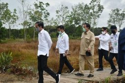 Presiden perintahkan menyusun rencana induk "food estate"