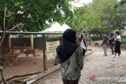 Pengunjung kebun binatang Jambi turun 75 persen