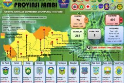 Kasus pasien positif COVID-19 di Jambi lampaui angka 400