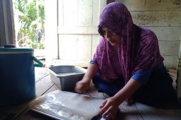 Hadapai pandemi COVID-19 Ibu Ulia produksi nata de coco