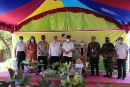 Pemkab Buol siap sukseskan program gerakan diversifikasi pangan lokal