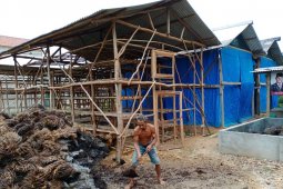 Petani Mesuji pilih budi daya jamur merang di tengah pandemi