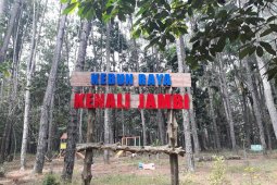 Kebun Raya Kenali berfungsi penelitian hingga foto "prawedding"