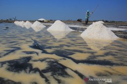 Govt to use technology to improve salt quality: minister