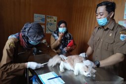 Hari Rabies sedunia, Puskeswan Pandeglang berikan vaksinasi rabies gratis