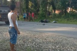 Pemotor meninggal akibat tabrakan di Jalan Lintas Sumatera