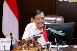 Luhut Pandjaitan minta ada pedoman tes "swab" bagi garda terdepan COVID-19