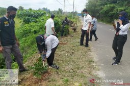 PLN Babel laksanakan penghijauan di Pantai Pasirpadi Pangkalpinang