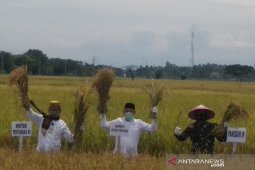 Petani Aceh Besar kesulitan pupuk, begini penjelasan bupati