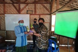 Dukung program gratieks, Distan Pandeglang kembangkan agribisnis talas beneng