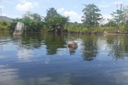 Tinggalan megalitik terlihat di dalam Danau Sentani