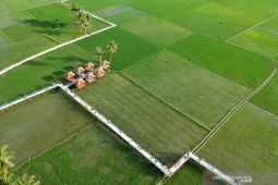 Swasembada pangan di mata satelit