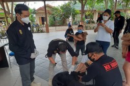 Peringati hari rabies se dunia DKP3 Banjarmasin bakal gelar vaksinasi