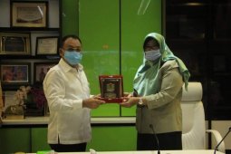 Binjai berencana lakukan pengembangan "Ayam Kampung Unggul"