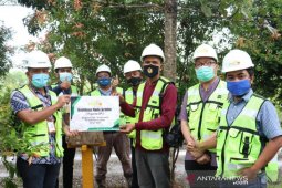 Mifa Bersaudara kembangkan budidaya madu kelulut Trigona SP di Aceh Barat
