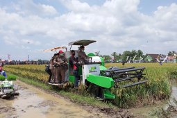 Mentan : Sektor pertanian menjadi penopang pendapatan negara