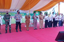 Mentan desak Pemprov Lampung fokus kembangkan pertanian