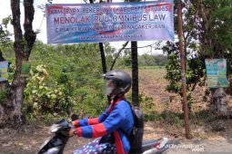 CIPS: Penghapusan sanksi dalam UU Cipta kerja perlu ditinjau