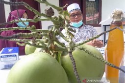 Bupati Aceh Barat bagikan tips sembuh dari COVID-19, rutin minum kelapa muda