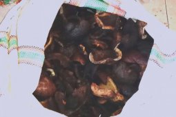 Harga kopra di Kota Ambon naik
