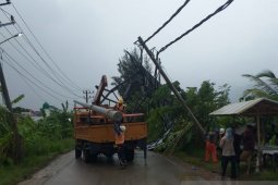 Tiang listrik dan baliho roboh diterpa angin kencang di Aceh Besar