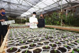 Usaha travel terhenti akibat COVID-19, warga Banyuwangi beralih budi daya anggrek