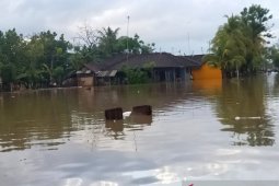 Ratusan rumah di Jembrana terendam banjir