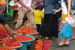 Harga cabai di pasar tradisional Ambon naik