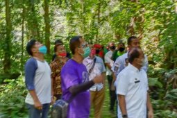 BBKSDA Sumut buka kembali  Taman Wisata Alam Sibolangit