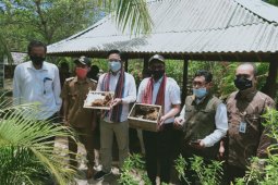 Kemenristek dorong madu trigona hasil budi daya warga Lombok Utara diekspor