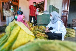 Pasangan Ipuk-Sugirah siapkan dua program di sektor pertanian