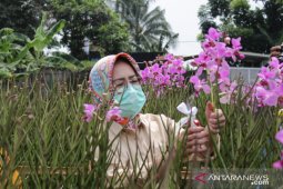 Wali Kota Airin Rachmi Diany dorong masyarakat manfaatkan lahan untuk bertani