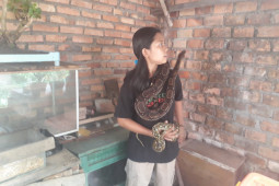 Sella gadis Sebapo si penakluk ular