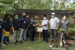 Dishut Kaltim bagikan ribuan bibit pohon untuk warga