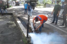 Dinkes: 115 warga Rejang Lebong terjangkit DBD