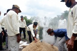 BRG develops 14 food resilience-based villages in peatland areas